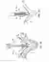 Fig. 15 - Gripper pusher mechanism for tissue apposition systems