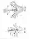 Fig. 17 - Gripper pusher mechanism for tissue apposition systems