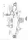 Fig. 02 - Surcharge violation registry