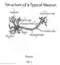 Fig. 02 - Method and apparatus for constructing a neuroscience-inspired artificial neural network with visualization of neural pathways