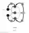 Fig. 05 - Method and apparatus for constructing a neuroscience-inspired artificial neural network with visualization of neural pathways