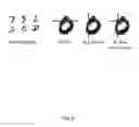 Fig. 10 - Method and apparatus for constructing a neuroscience-inspired artificial neural network with visualization of neural pathways