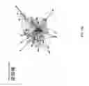 Fig. 48 - Method and apparatus for constructing a neuroscience-inspired artificial neural network with visualization of neural pathways