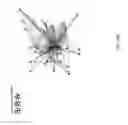 Fig. 49 - Method and apparatus for constructing a neuroscience-inspired artificial neural network with visualization of neural pathways