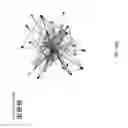 Fig. 68 - Method and apparatus for constructing a neuroscience-inspired artificial neural network with visualization of neural pathways