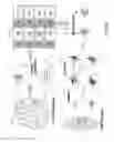 Fig. 09 - Method and apparatus for constructing a neuroscience-inspired artificial neural network