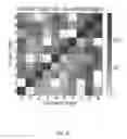Fig. 35 - Method and apparatus for constructing a neuroscience-inspired artificial neural network