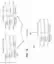 Fig. 16 - Generation and retrieval of report information