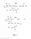 Fig. 02 - Method and apparatus for customized handwriting entry zones