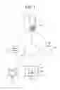 Fig. 02 - Media player system for product placements