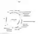 Fig. 04 - regulatory elements and uses thereof