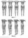 Fig. 05 - ANATOMY SHADING FOR GARMENTS