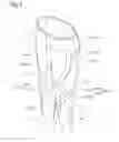 Fig. 02 - Crotched exercise garment
