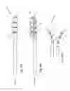 Fig. 06 - Dental care device for detection and removal of plaque