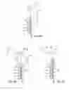 Fig. 06 - Sliding door assembly