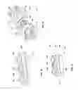 Fig. 06 - Air brake lock and assembly