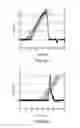 Fig. 06 - RODENT RUN