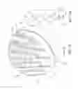 Fig. 12 - Multi-purpose animal grooming tools