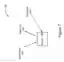 Fig. 07 - Assisted animal activities