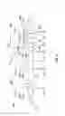 Fig. 12 - Camshaft assembly
