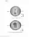 Fig. 07 - INTAKE PORT FOR IDEAL TUMBLE FLOW