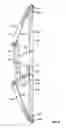 Fig. 04 - Accessory for an archery bow