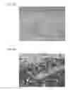 Fig. 11 - Dicing blade
