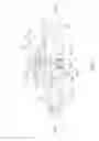 Fig. 03 - Gas regulator