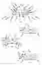 Fig. 10 - Chilled beam with multiple modes