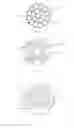 Fig. 02 - WATER AND GAS TIGHT STRANDED CONDUCTOR AND UMBILICAL COMPRISING THIS