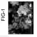 Fig. 02 - Visible-light photocatalyst particles and method for manufacturing same