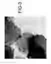 Fig. 04 - Visible-light photocatalyst particles and method for manufacturing same