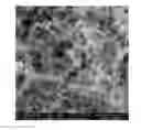 Fig. 01 - Hierarchical structure of graphene-carbon nanotubes and method for preparing same