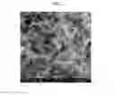 Fig. 03 - Hierarchical structure of graphene-carbon nanotubes and method for preparing same