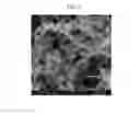 Fig. 04 - Hierarchical structure of graphene-carbon nanotubes and method for preparing same