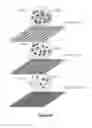 Fig. 23 - Droplet Actuator Devices and Methods for Manipulating Beads