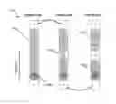 Fig. 24 - Droplet Actuator Devices and Methods for Manipulating Beads