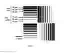 Fig. 07 - Printed digital microfluidic devices methods of use and manufacture thereof
