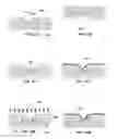 Fig. 48 - Microprobe Tips and Methods for Making