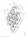 Fig. 18 - Supporting structure for supporting containers for substances for medical, pharmaceutical or cosmetic applications as well as transport and packaging container comprising the same
