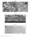 Fig. 07 - METHOD FOR PREPARING CROSS-LINKED HYPERBRANCHED POLYAMIDOAMINE PARTICLES USING REVERSE PHASE SUSPENSION POLYMERIZATION AND PRECURSOR