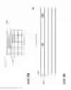 Fig. 13 - PACKAGING DIVIDER AND METHOD OF MANUFACTURE, ASSEMBLY AND USE