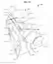 Fig. 08 - FOODSTUFF PACKAGES AND RELATED APPARATUS, SYSTEMS, AND METHODS