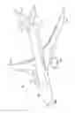 Fig. 02 - Anti-icing system for aircraft