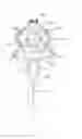 Fig. 09 - SPRAY GUN
