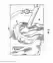 Fig. 12 - Feed screw for meat grinding reclamation system