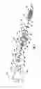 Fig. 04 - Perforated plate for meat grinding reclamation system