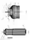 Fig. 02 - Compressible valve for a pressurized container