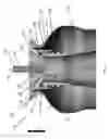 Fig. 04 - Compressible valve for a pressurized container