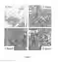 Fig. 03 - Monodisperse core/shell and other complex structured nanocrystals and methods of preparing the same